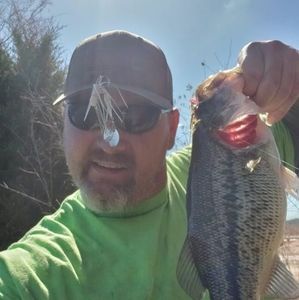 Meet your Posher, Jimbo